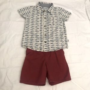 Tommy Bahama boy set